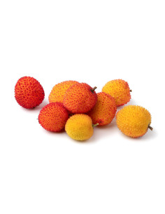 Arbousier - Arbustus unedo  2