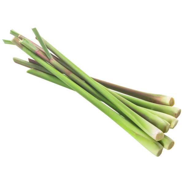 Citronnelle du Gabon - Cymbopogon citratus 