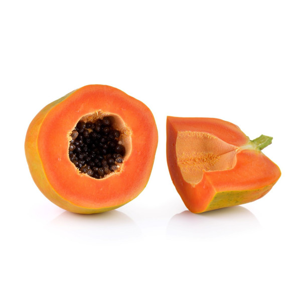 Papayer - Carica papaya 