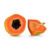 Papayer - Carica papaya 