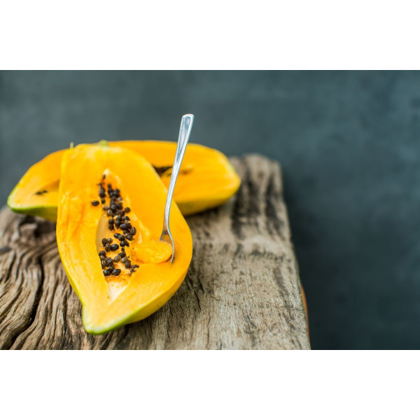 Papayer - Carica papaya 