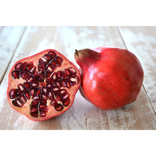 Grenadier nain - Punica granatum Nanum 