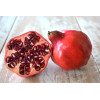 Grenadier nain - Punica granatum Nanum 