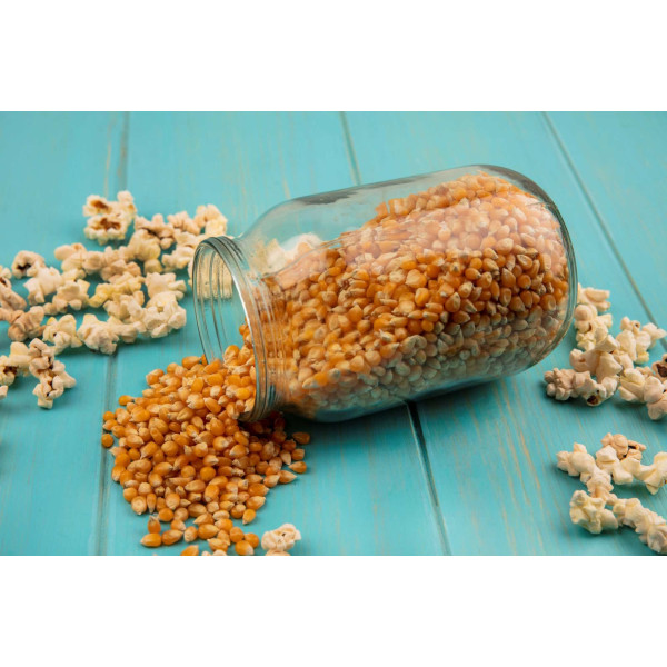 Maïs à éclater pour Pop Corn 