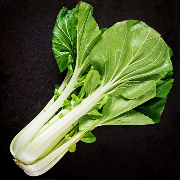 Chou de Chine Pak Choi 