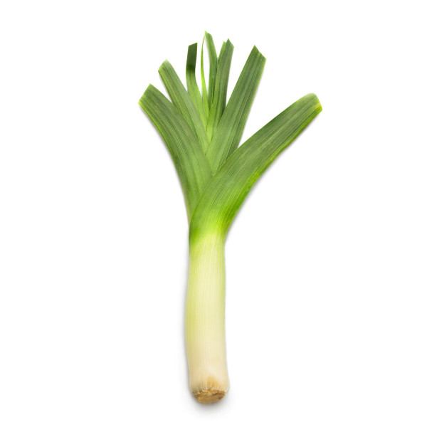 Poireau Electra 1/2 précoce 