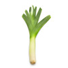Poireau Electra 1/2 précoce 