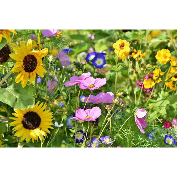 Fleurs parfumées mix 