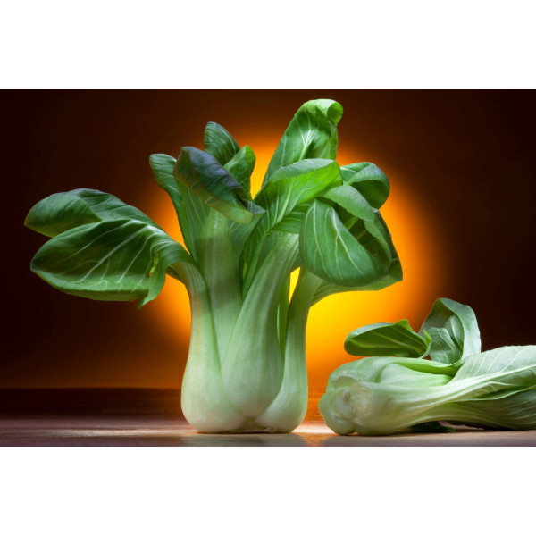 Chou de Chine Pak Choi 