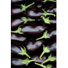Graines d'Aubergine Bonica