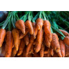 Graines de Carotte 1/2 longue Chantenay