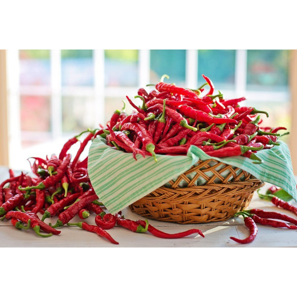 10 Graines De Piment Cayenne Géant Violet - Variété Ornementale Et Comestible, Bon Rendement
