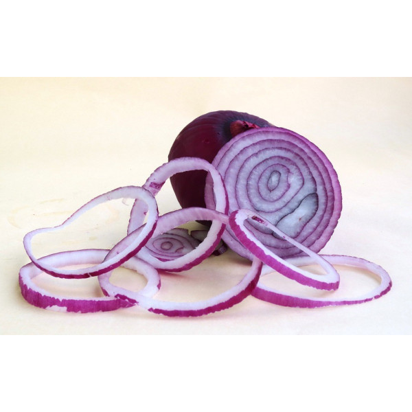 Graines d'Oignons rouge foncé de Brunswick